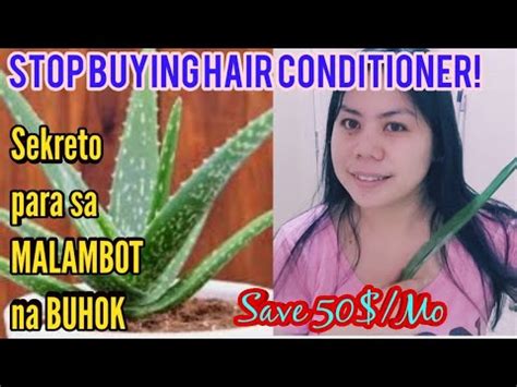 PAANO GAMITIN ANG ALOE VERA SA BUHOK .